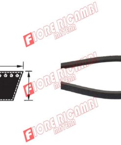 340434138P - CINGHIA TIPO  LISCIA